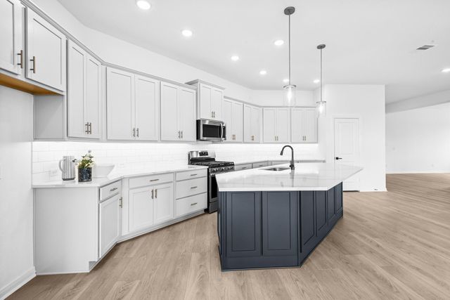 16211 Blue Mistflower Lane, Hockley, TX 77447