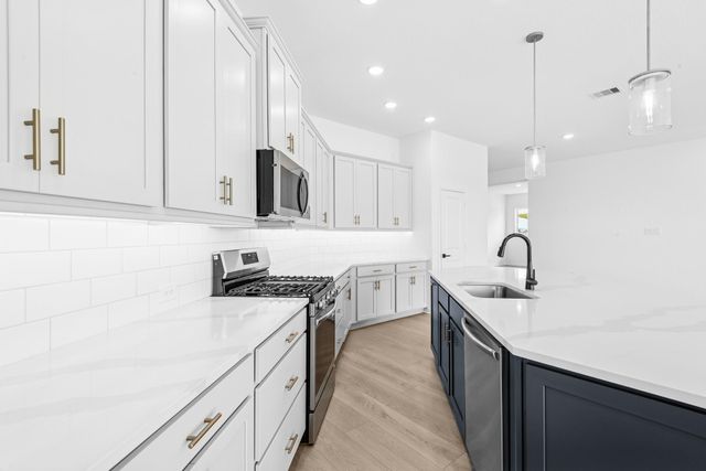 16211 Blue Mistflower Lane, Hockley, TX 77447