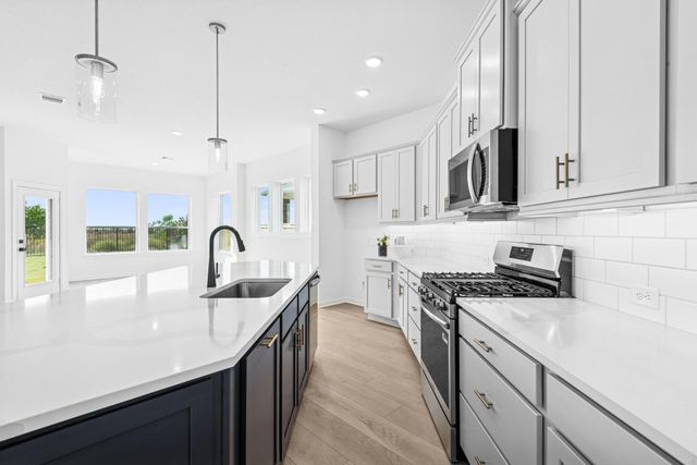 16211 Blue Mistflower Lane, Hockley, TX 77447