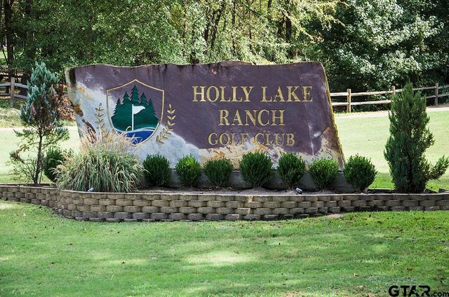 170 Wild Goose 221F, Holly Lake Ranch, TX 75765