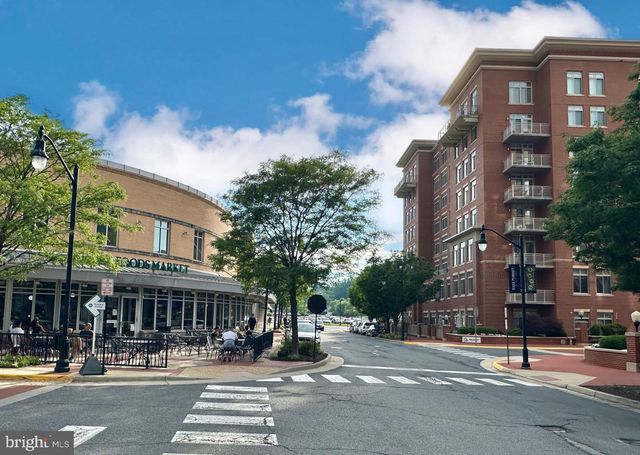 4490 MARKET COMMONS DR #302, Fairfax, VA 22033