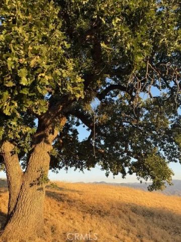 27251 Deertrail, Tehachapi, CA 93561