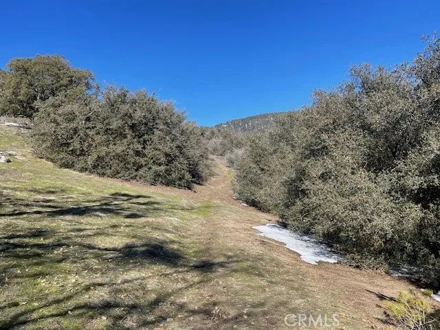 27251 Deertrail, Tehachapi, CA 93561