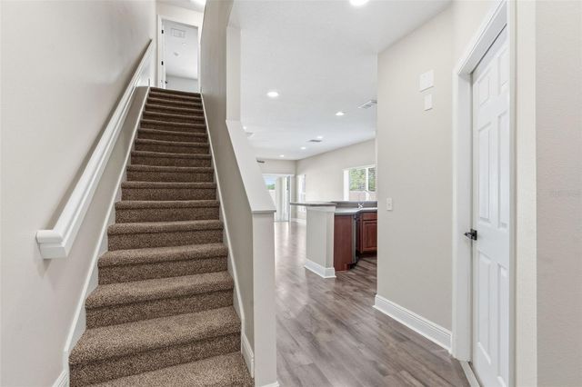 20484 NEEDLETREE DRIVE, Tampa, FL 33647