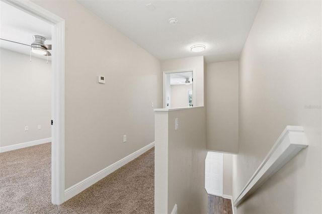 20484 NEEDLETREE DRIVE, Tampa, FL 33647