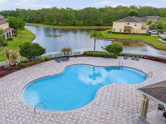 20484 NEEDLETREE DRIVE, Tampa, FL 33647