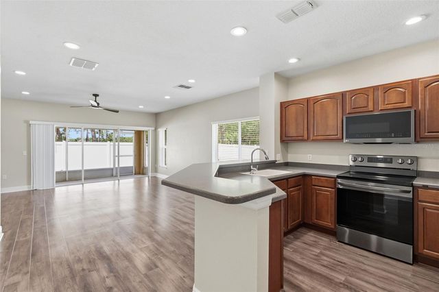 20484 NEEDLETREE DRIVE, Tampa, FL 33647