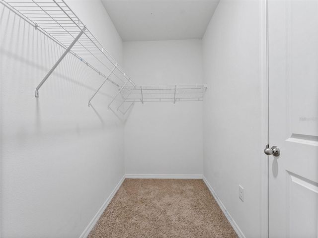 9032 WATER CHESTNUT DRIVE, Tampa, FL 33637