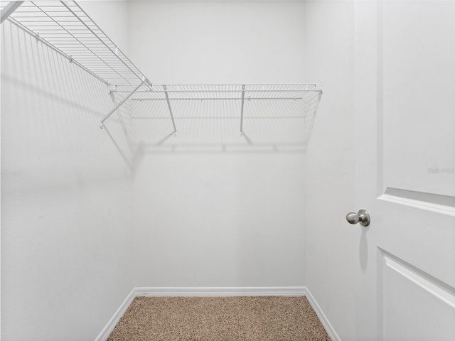 9032 WATER CHESTNUT DRIVE, Tampa, FL 33637