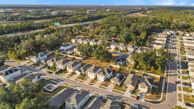 9032 WATER CHESTNUT DRIVE, Tampa, FL 33637