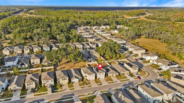 9032 WATER CHESTNUT DRIVE, Tampa, FL 33637