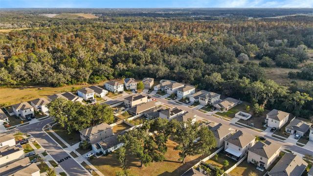 9032 WATER CHESTNUT DRIVE, Tampa, FL 33637