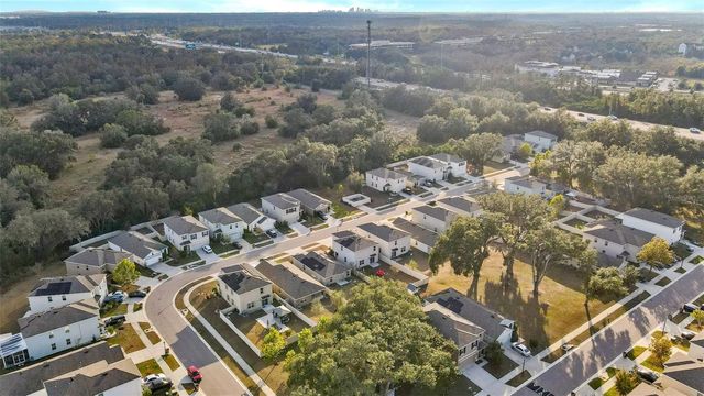 9032 WATER CHESTNUT DRIVE, Tampa, FL 33637