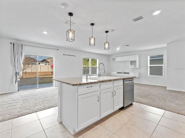 9032 WATER CHESTNUT DRIVE, Tampa, FL 33637