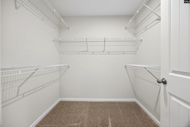 223 Drummond Way, Lexington, SC 29072