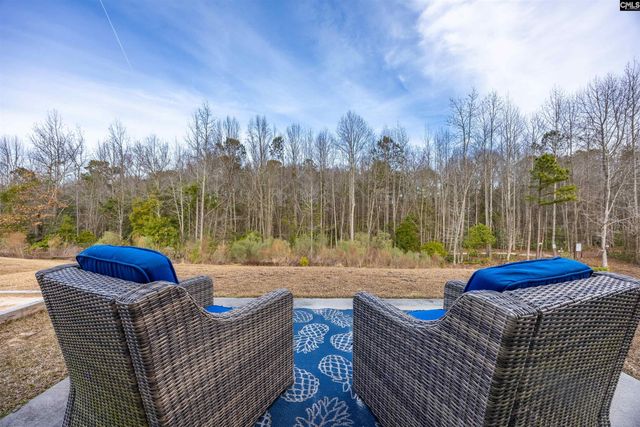 223 Drummond Way, Lexington, SC 29072