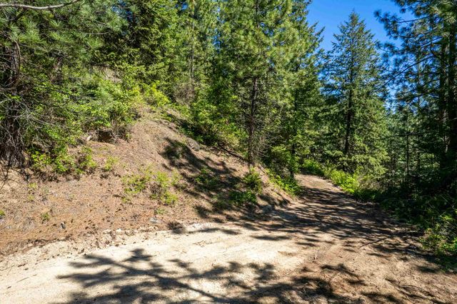 xxx N Singing Hills Dr, Newman Lake, WA 99025