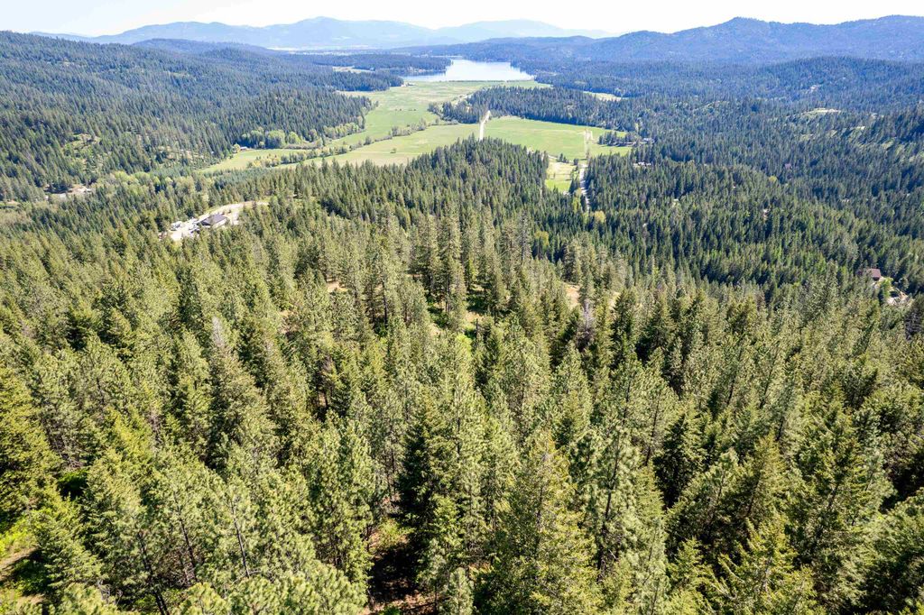 xxx N Singing Hills Dr, Newman Lake, WA 99025