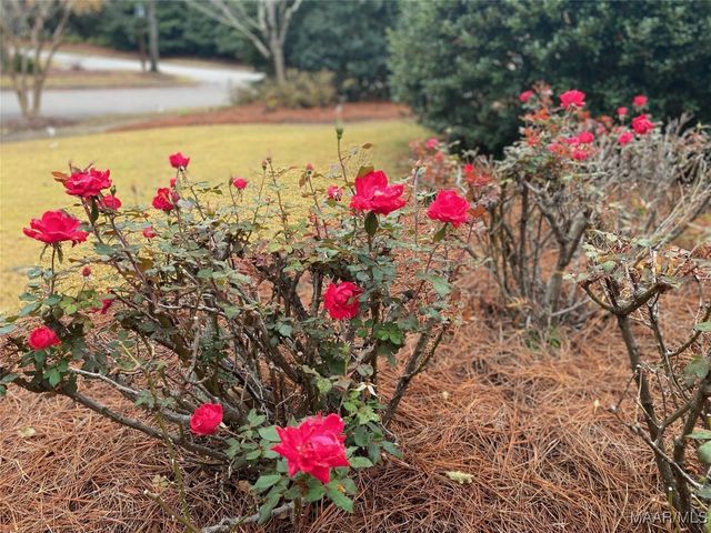 1743 Croom Drive, Montgomery, AL 36106