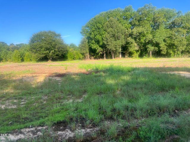 6391 Elevation Road, Benson, NC 27504