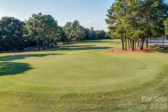 29010 Silver Fox Drive, Tega Cay, SC 29708