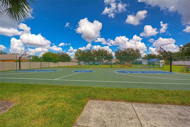 707 ORCHARD ISLE COURT, Valrico, FL 33594