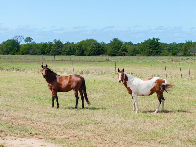 1358 RS County Road 1310, Point, TX 75472