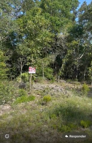 NE 97TH COURT, Bronson, FL 32621