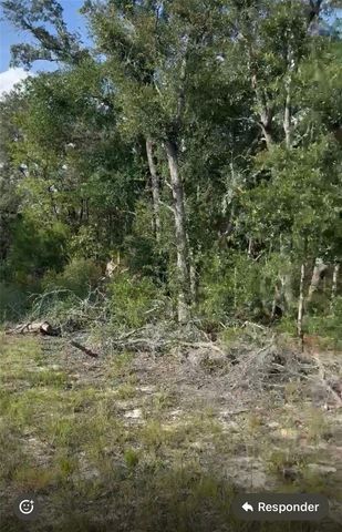 NE 97TH COURT, Bronson, FL 32621