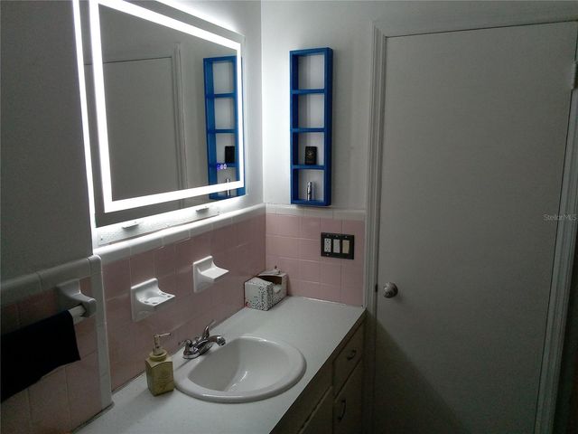 3695 DALE COURT, Mount Dora, FL 32757