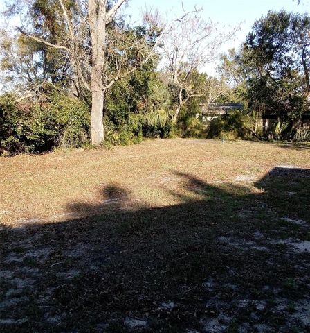 3695 DALE COURT, Mount Dora, FL 32757