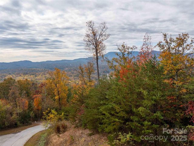 0000 Holland Drive, Columbus, NC 28722