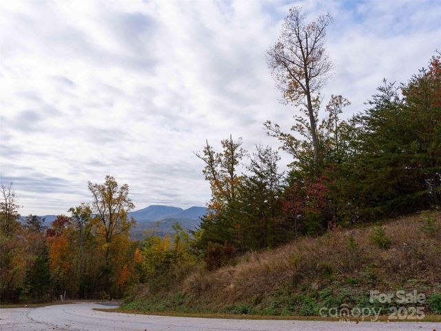 0000 Holland Drive, Columbus, NC 28722