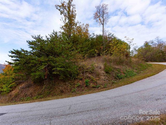 0000 Holland Drive, Columbus, NC 28722