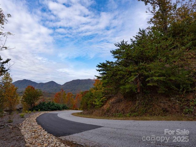 0000 Holland Drive, Columbus, NC 28722