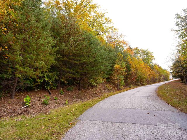 0000 Holland Drive, Columbus, NC 28722