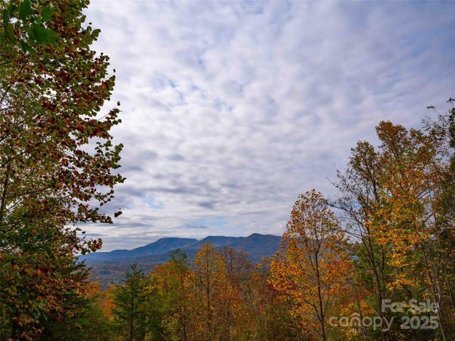 0000 Holland Drive, Columbus, NC 28722