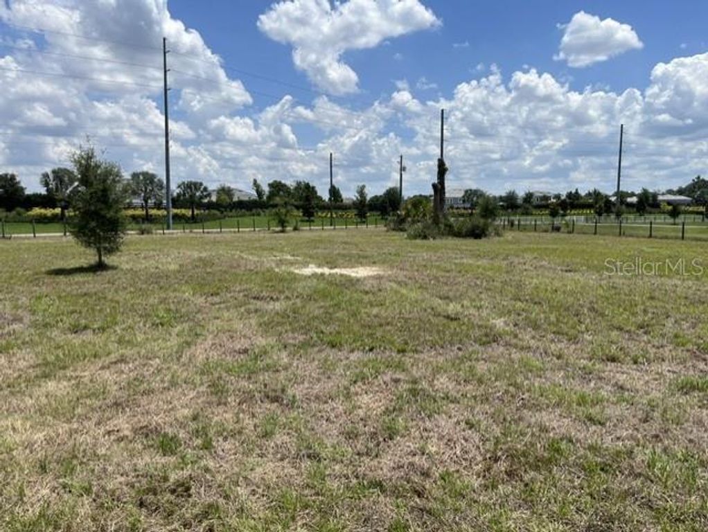 15110 PATTERSON ROAD, Odessa, FL 33556