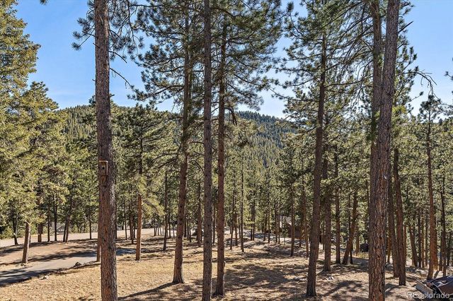 31634 Ponderosa Way, Evergreen, CO 80439
