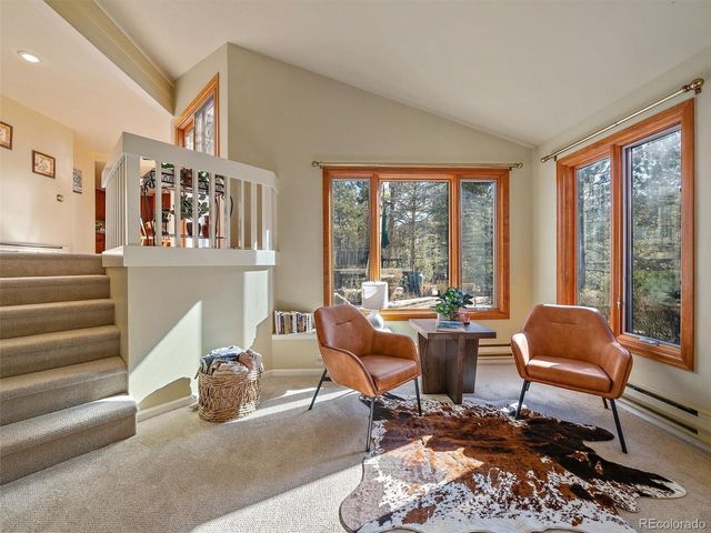 33913 Upper Bear Creek Rd, Evergreen, CO 80439
