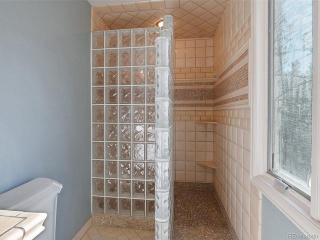 33913 Upper Bear Creek Rd, Evergreen, CO 80439