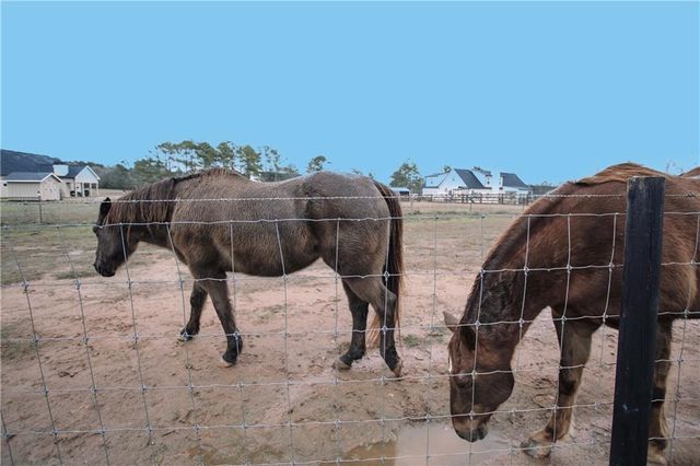 3221 Hollonville Road, Williamson, GA 30292