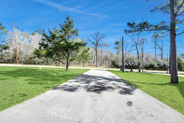 16419 Old Coach Road, Stagecoach, TX 77355