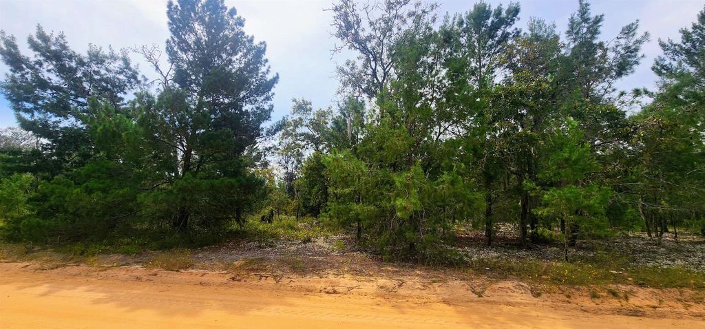 Main ST, Interlachen, FL 32148