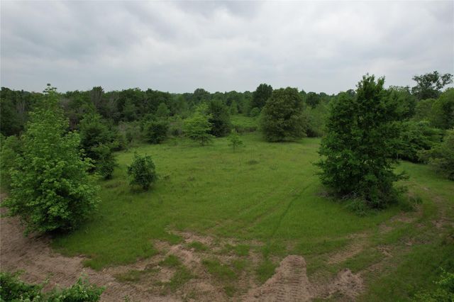 TBD County Road 3470 E, Lovelady, TX 75851