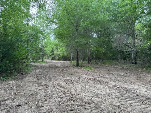 TBD County Road 3470 E, Lovelady, TX 75851