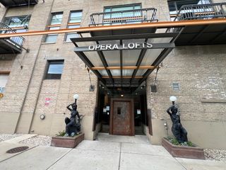 2545 S Dearborn Street 520, Chicago, IL 60616