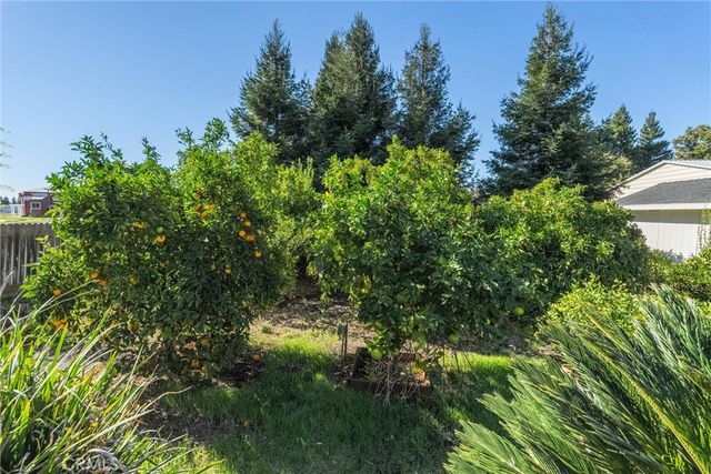 4227 Michelle Court, Chico, CA 95973