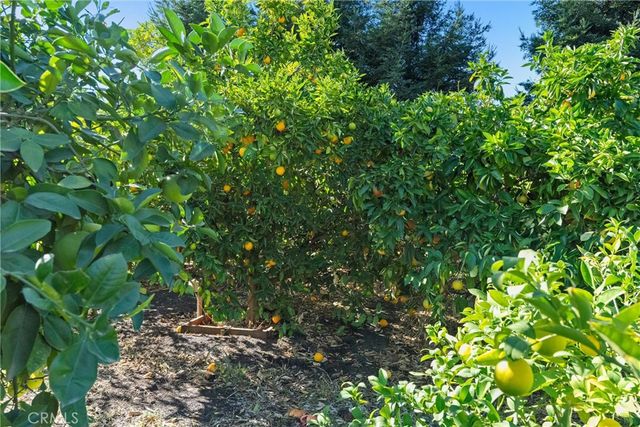 4227 Michelle Court, Chico, CA 95973