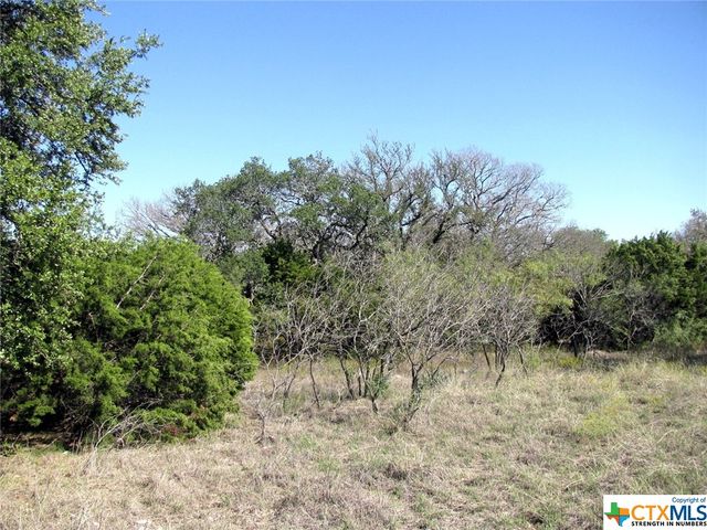 Lot 14 Phase 3 Private Road 42112, Evant, TX 76525